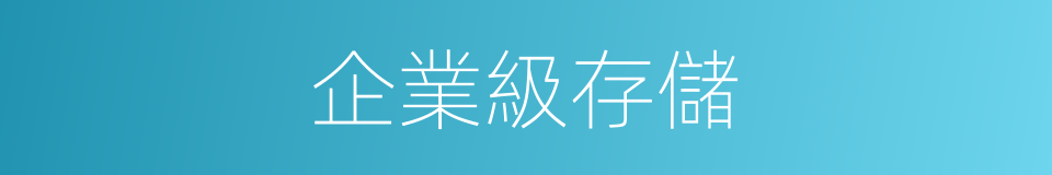 企業級存儲的同義詞