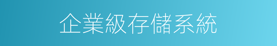 企業級存儲系統的同義詞