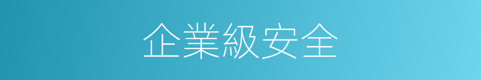 企業級安全的同義詞