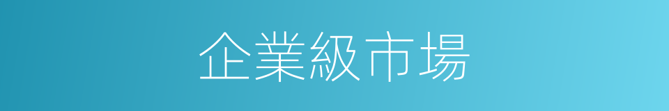 企業級市場的同義詞