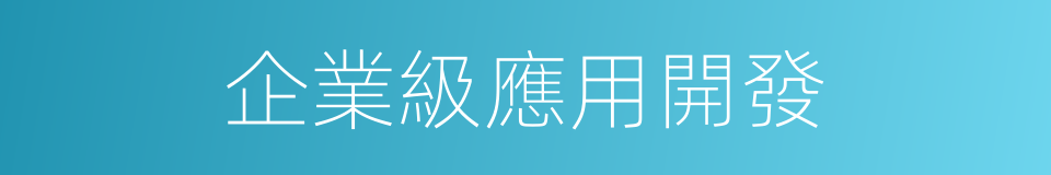 企業級應用開發的同義詞