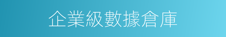 企業級數據倉庫的同義詞