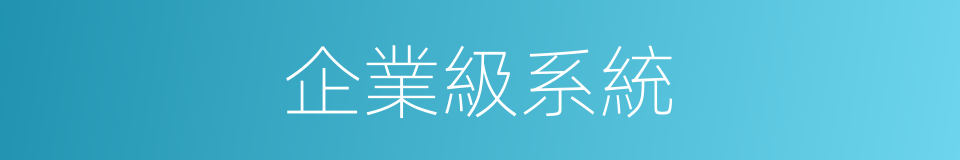 企業級系統的同義詞