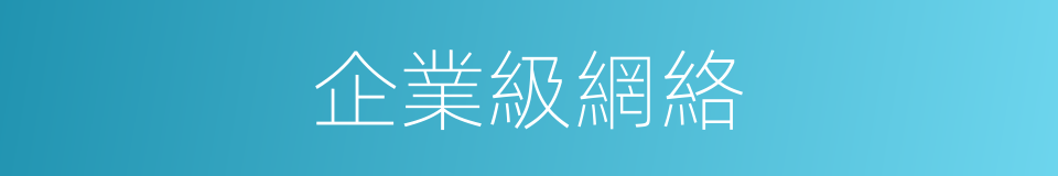 企業級網絡的同義詞