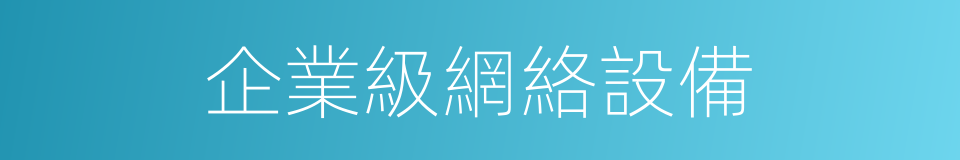 企業級網絡設備的同義詞