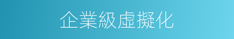 企業級虛擬化的同義詞