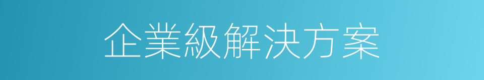 企業級解決方案的同義詞