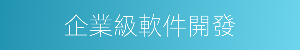 企業級軟件開發的同義詞