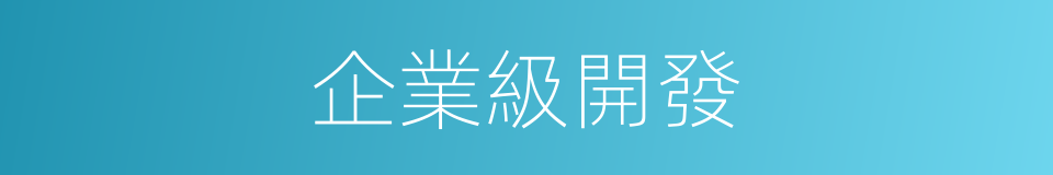 企業級開發的同義詞