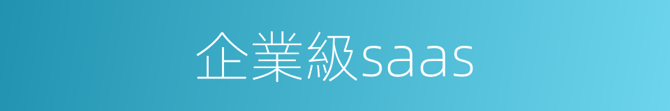 企業級saas的同義詞