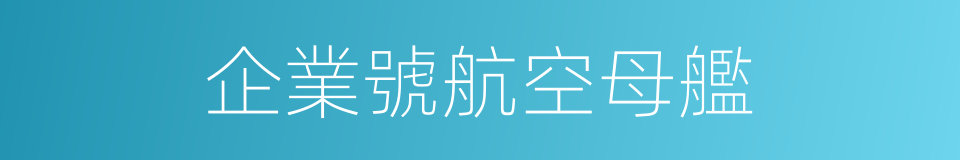 企業號航空母艦的同義詞