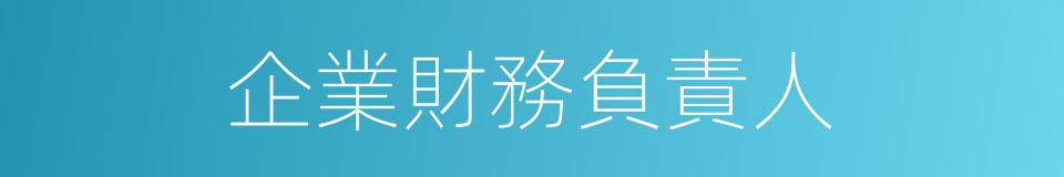 企業財務負責人的同義詞