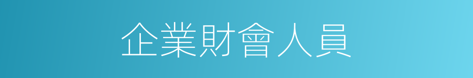 企業財會人員的同義詞