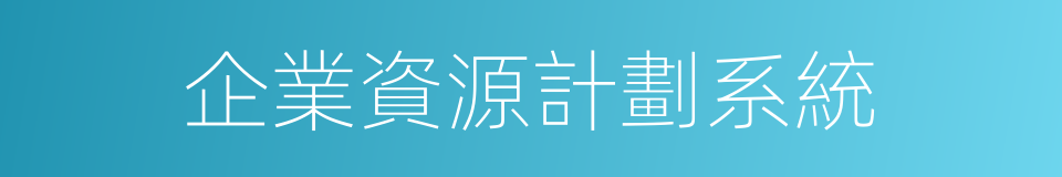 企業資源計劃系統的同義詞