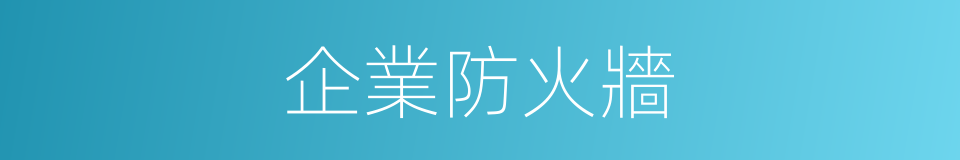 企業防火牆的同義詞