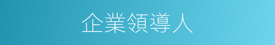 企業領導人的同義詞