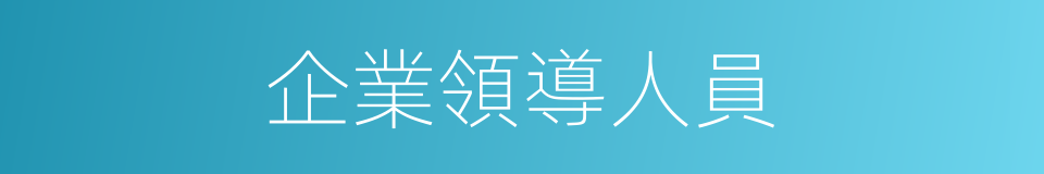 企業領導人員的同義詞
