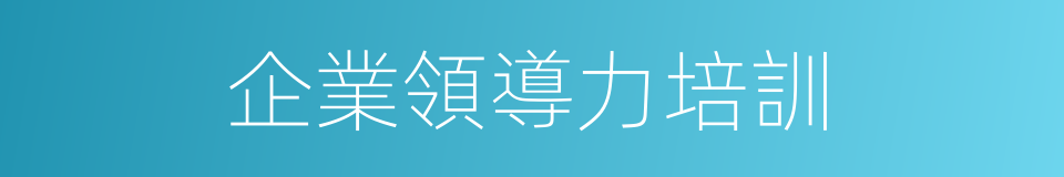 企業領導力培訓的同義詞