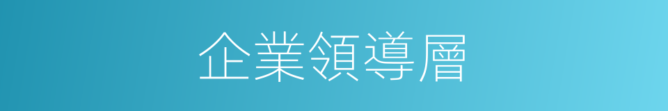 企業領導層的同義詞