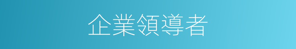 企業領導者的同義詞