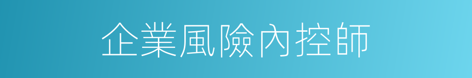 企業風險內控師的同義詞