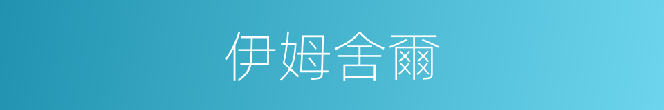 伊姆舍爾的同義詞
