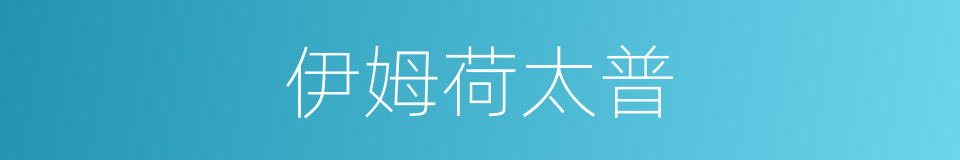伊姆荷太普的同义词