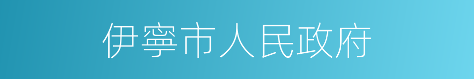 伊寧市人民政府的同義詞