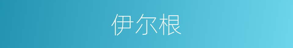 伊尔根的同义词