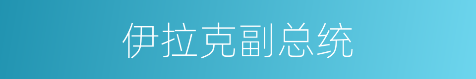 伊拉克副总统的同义词