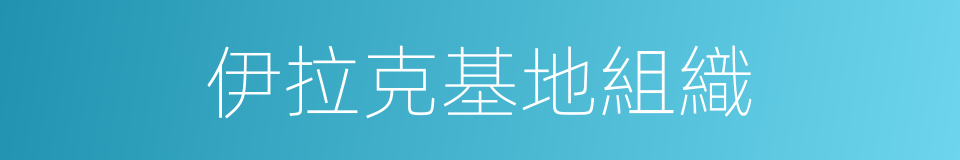 伊拉克基地組織的同義詞