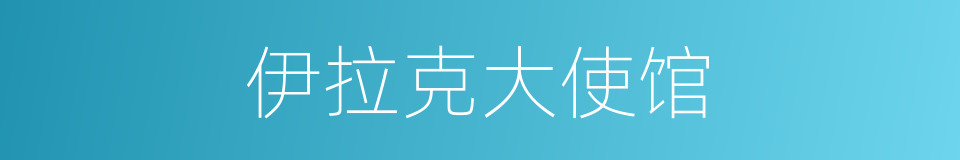 伊拉克大使馆的同义词