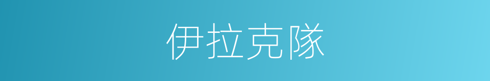 伊拉克隊的同義詞
