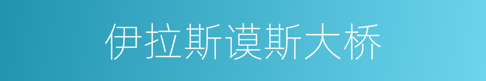 伊拉斯谟斯大桥的同义词