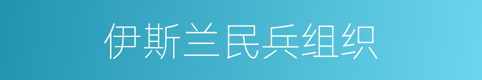 伊斯兰民兵组织的同义词