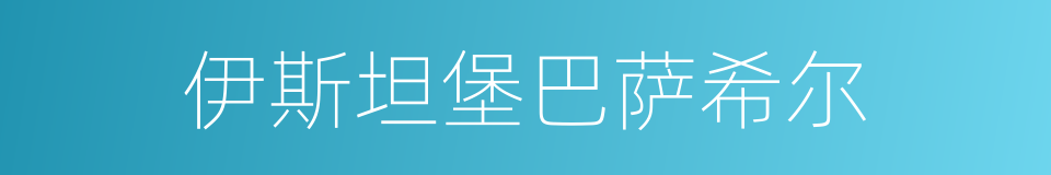 伊斯坦堡巴萨希尔的同义词