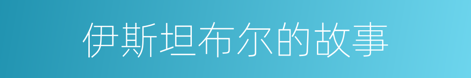 伊斯坦布尔的故事的同义词