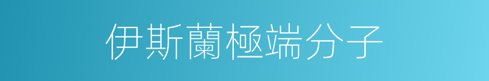 伊斯蘭極端分子的同義詞