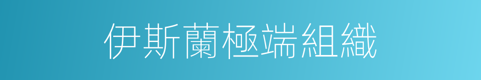 伊斯蘭極端組織的同義詞