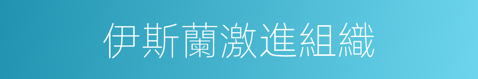 伊斯蘭激進組織的同義詞