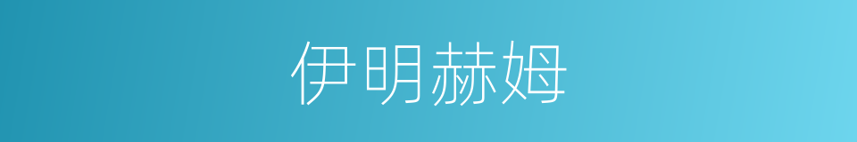 伊明赫姆的同义词
