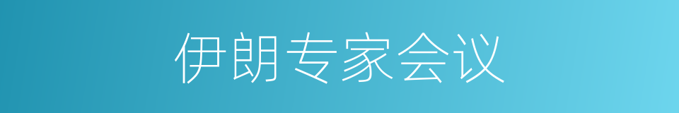 伊朗专家会议的同义词