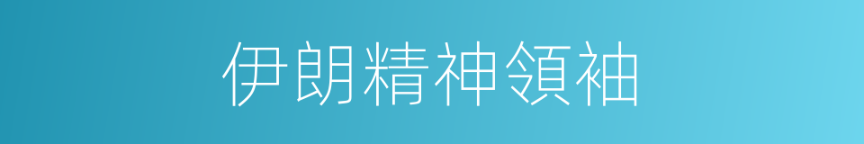 伊朗精神領袖的同義詞