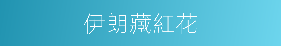 伊朗藏紅花的同義詞