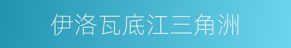 伊洛瓦底江三角洲的同义词