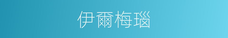 伊爾梅瑙的同義詞