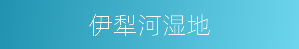 伊犁河湿地的同义词