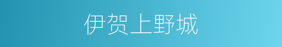伊贺上野城的同义词