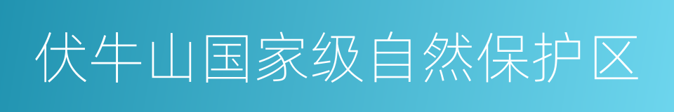 伏牛山国家级自然保护区的同义词