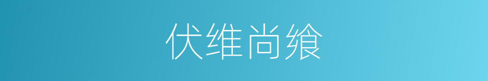 伏维尚飨的同义词